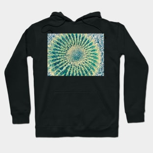 Barrel Cactus - Phoenix AZ Country Club Park Hoodie